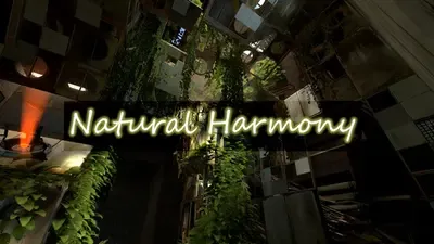Workshop thumbnail for "Natural Harmony"