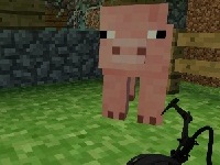 Minecraft in Portal 2: The Village